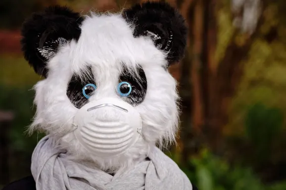 슬롯츠윈 카지노 지원